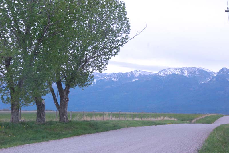 Family Fun in the Mission Valley Mission Valley Montana Museums